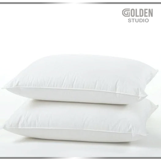 Filled Pillow 18 x 28 Inches (Pack of 2)
